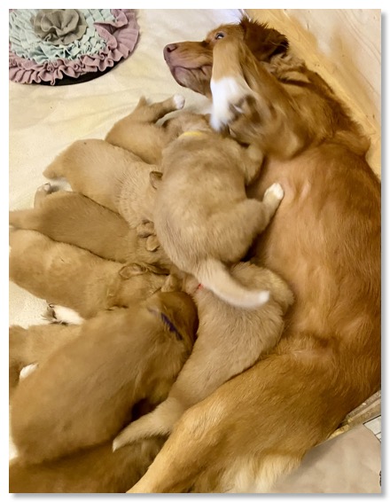 C2A04BA6-845C-4994-9394-FEFD7087F127_1_102_a