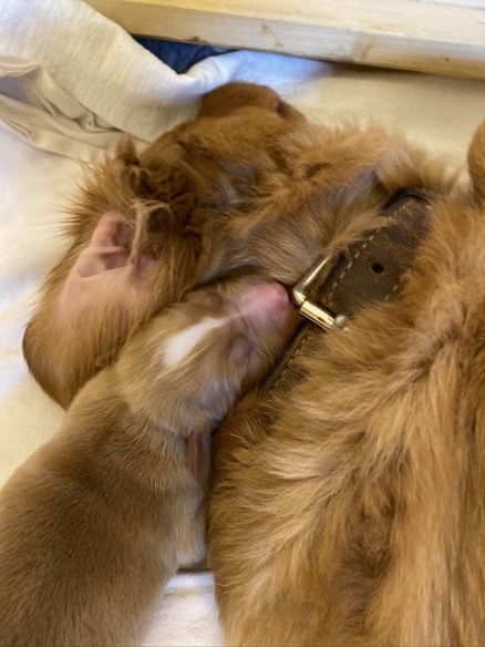 6F48751D-3A56-45C6-A976-0BF22D862B6B_1_105_c