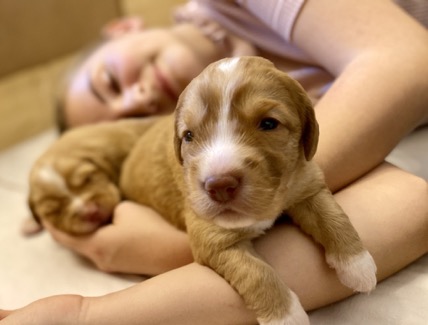 984F390A-1291-4106-8FED-C91A23EB02A3_1_105_c