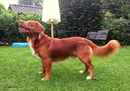 aiden-rusty-from-lauderdale-0028stehend-30029