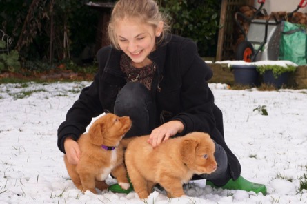 0xhbooybtaacno0zkvckzw_thumb_298