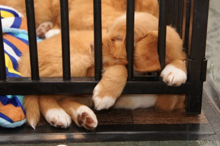 66nd0025002bwqrbe1szwftnrz4q_thumb_28c