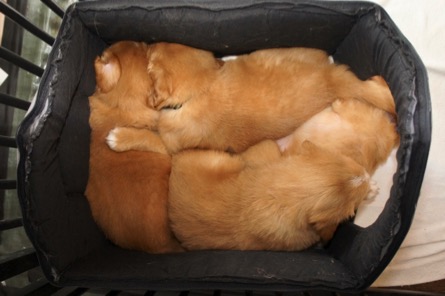 6u0025qjj0025br4qaue5nxq8bng_thumb_266