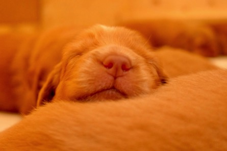 ata6tyhrqbyhojhcz7ph4g_thumb_1d3