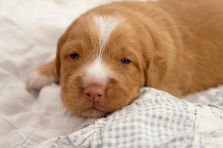 gkwm1rsesrkrriiqtsljqa_thumb_1e4