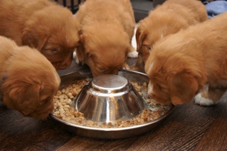 khj1x7pxseed5tpdju002bccw_thumb_26d