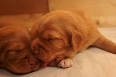 mymzfewvtgkhcp1zdzpyzq_thumb_1cf