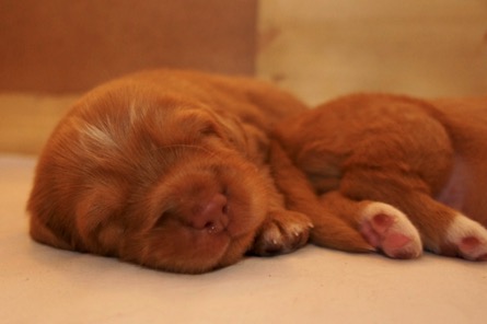 ngd66hwiqnymudggbwp5ba_thumb_1cc