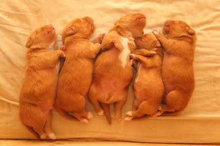 nugn4t0itaiv8sr7yr68ja_thumb_1be