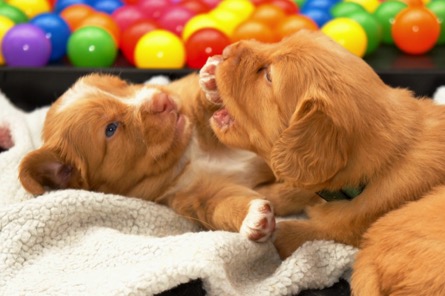 t63rhiaotsuwz7ur00255bkmg_thumb_250