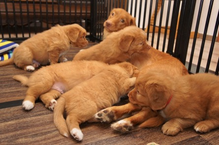 tvt002bbjxnqsuq47zgsnif4g_thumb_29d