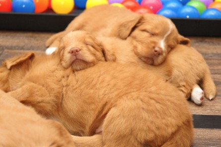 vv5pcl5ys6qppdm2csmsia_thumb_25f