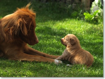 fb_20160218_04_19_40_saved_picture