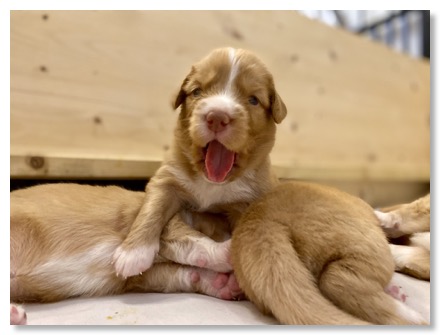 5D790CE4-8976-4894-8A3B-84CEB5A0ED0F_1_105_c