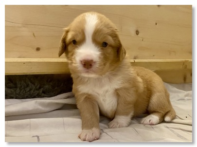 01A4342B-169B-4012-BA81-5A8ADCB773E3_1_201_a