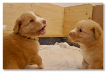 0DC36ABF-FCE4-448E-9E2D-93F702E7B433_1_105_c