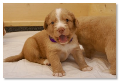 2F3FFA04-D42B-4766-9020-E098A1F20E6B_1_105_c