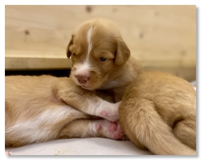 3127D940-11B2-46A7-BF1C-2B39B338FC5C_1_201_a