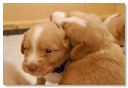 5D39D1E7-DBD9-42FD-9FA5-2017E487CC08_1_105_c