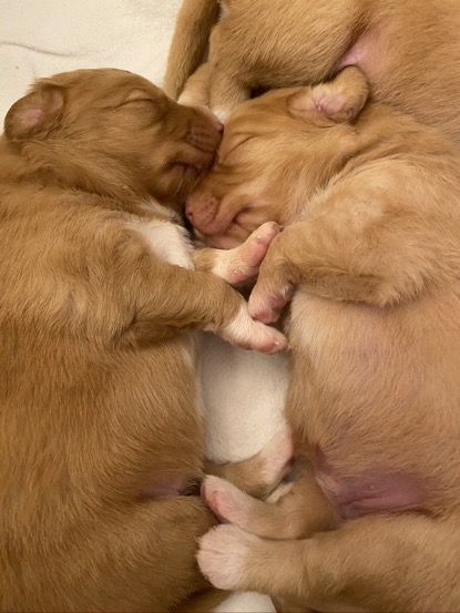 9027C22F-11B3-401F-B41D-089945F6C400_1_105_c