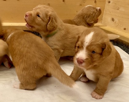 0540A6ED-3108-4806-BDF4-C6DDCE317412_1_105_c