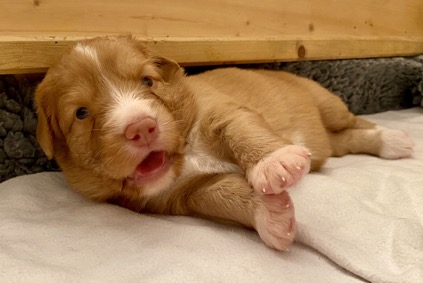 2A6C4CDC-8179-4593-8ADF-6ADA52DA4EA9_1_105_c