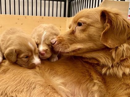 9077389F-5D2D-42F5-AFF5-2D149A267A1A_1_105_c