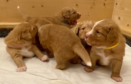 D97EA5A9-9C24-4172-A45D-5CE9E77168B4_1_105_c