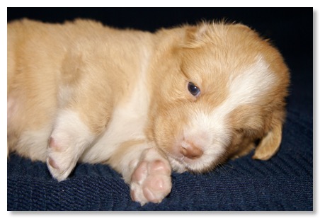 3E333113-0720-4BF1-B2C6-9A5C3AADCCBA_1_201_a