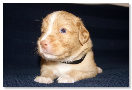 41AEBEE2-0789-4DDF-BE65-73EA51D7CB44_1_201_a