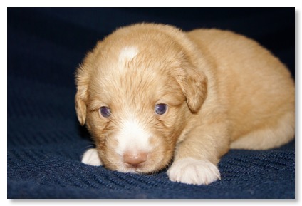 4F5BF30B-EF9A-4E23-895B-2623E40DBCBF_1_201_a