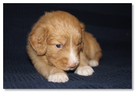 6AB4D563-5289-463C-BE54-837C5BC520CF_1_201_a