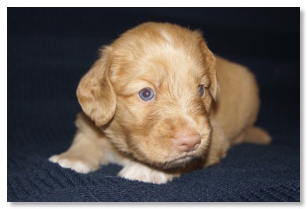 CB52BE5B-FEDE-40BD-904C-813A13E02B2B_1_201_a