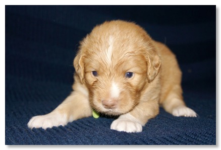 DA1059B1-ED43-4937-934E-44CBC6FA2336_1_201_a