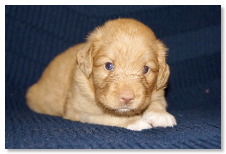 DE2B9220-4093-4B96-B966-E88DE2353352_1_201_a