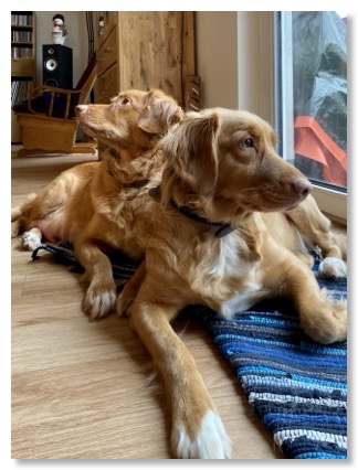 232A5365-0173-43F6-8D13-C2B63394C018_1_201_a