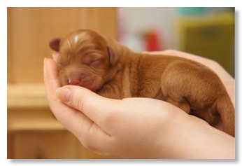 A96D93EF-767D-4D02-B2A5-D047790FDAC5_1_102_o