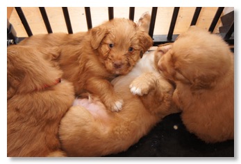 E629E94F-A0E7-4697-86B5-D05BB3EA58CE_1_105_c