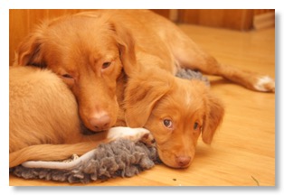 EEED5F1F-3110-46FB-9A17-E0D9396B5165_1_105_c