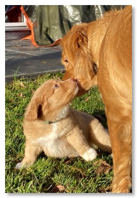 083258C5-2188-400C-BFED-937384C66522_1_201_a