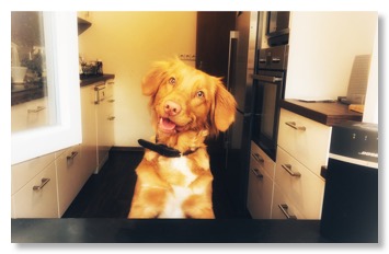 D17C03BB-8567-4E96-8389-73FB5CBC61A6_1_105_c