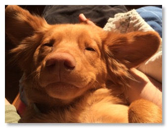 B36B995D-E977-43AA-B52D-44746DE690A1_1_105_c